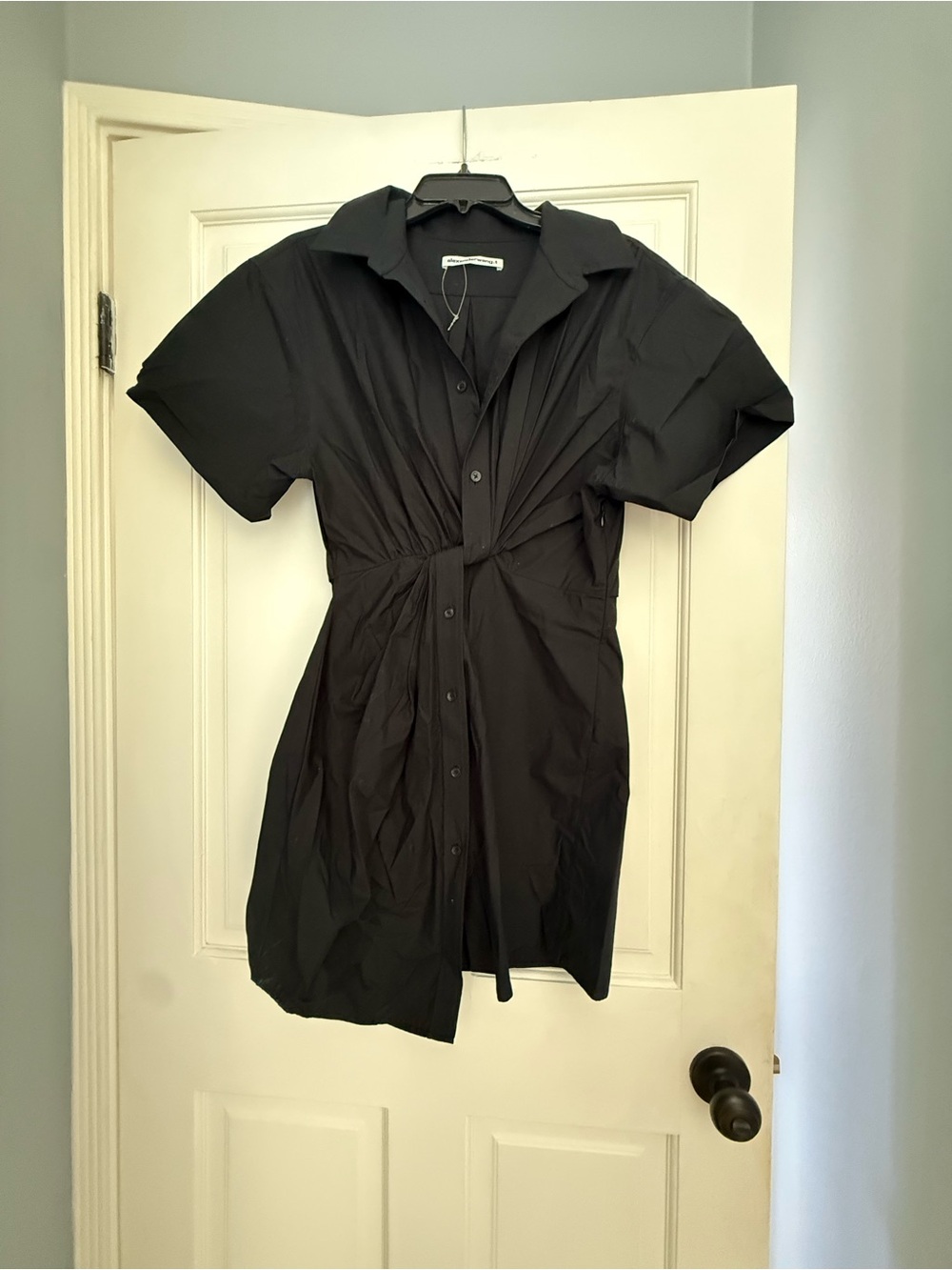 Alexander Wang shirt dress